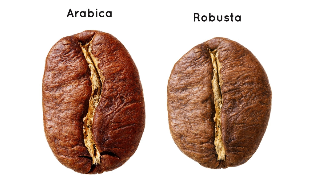 mycoffeepods arabica versus robusta
