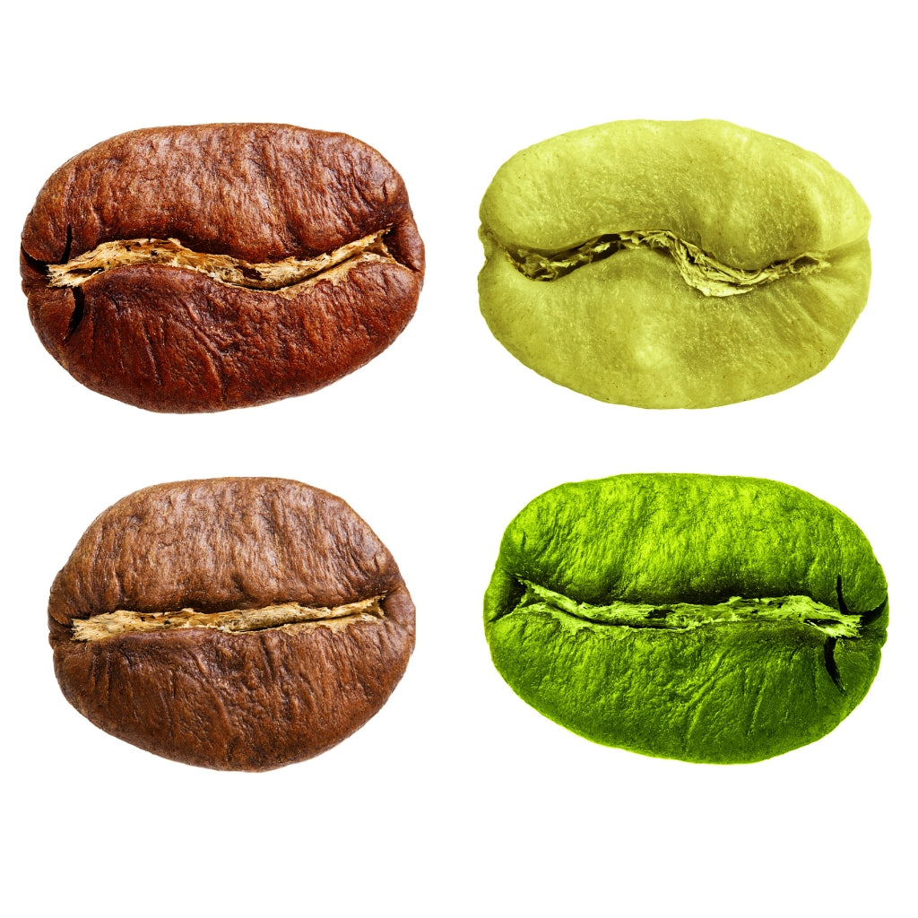 mycoffeepods Organic coffee capsules
