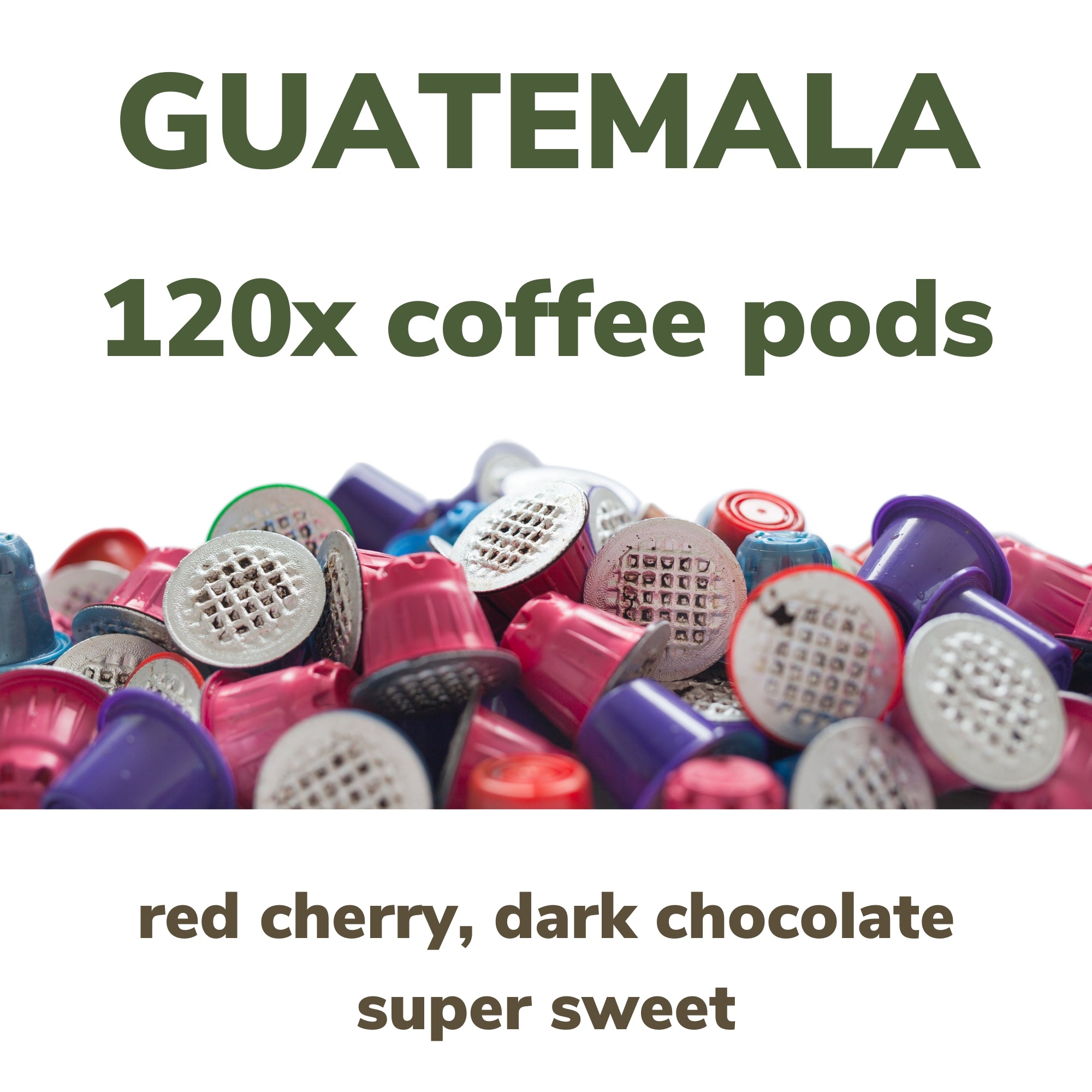 mycoffeepods Guatemala 120 pack organic pods